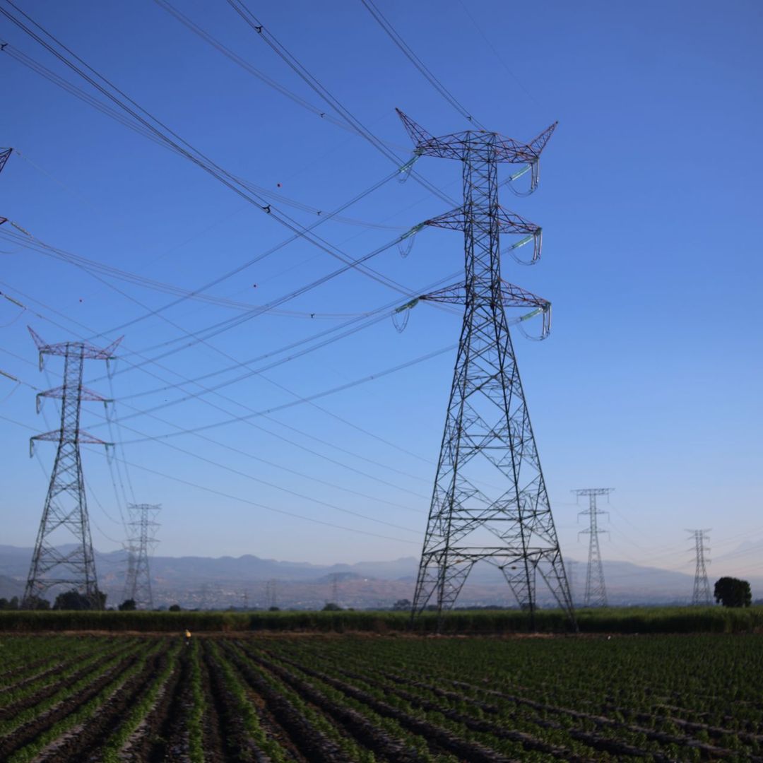 Torres de trasmisión de electricidad. Foto: Cuartoscuro